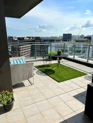 Coralis (D15), Condominium #559930201